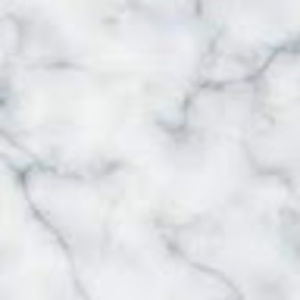 Meet your Posher, Riley